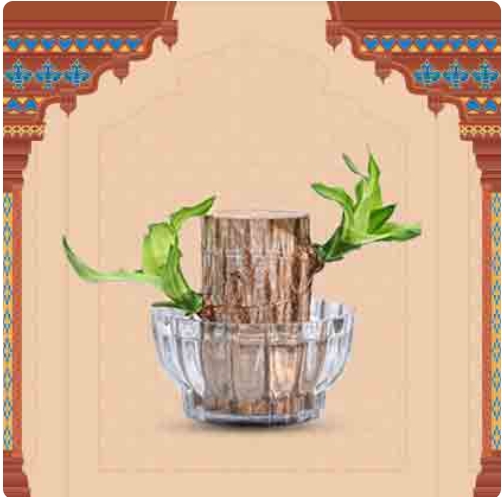 Product 4